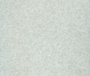 Линолеум Tarkett Prisma Stella 6